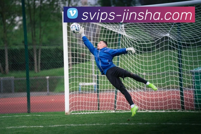 金沙官网平台生态图